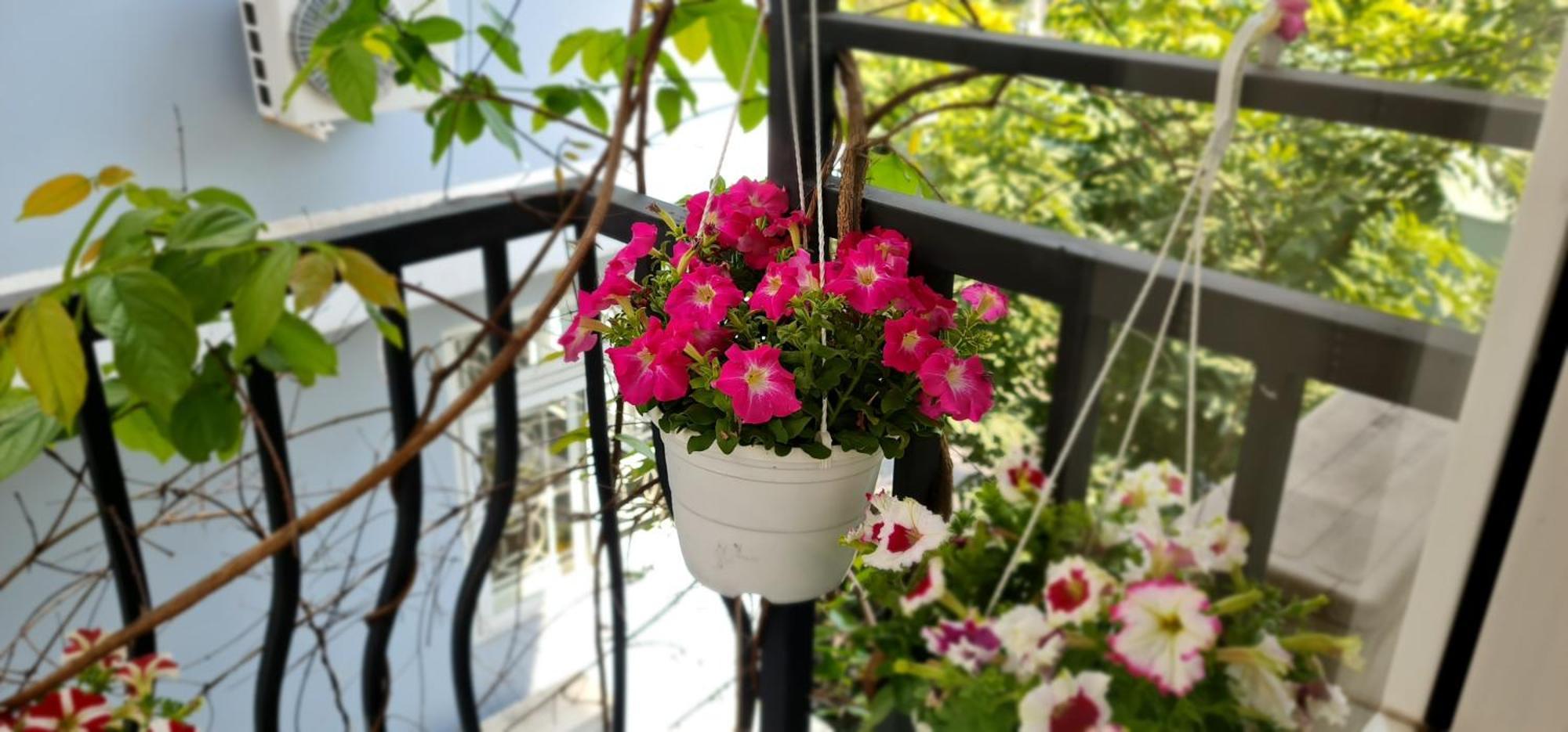 Spring Light Home Ho Şi Min Exterior foto